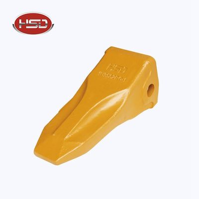 IU3552 أسنان الدلو